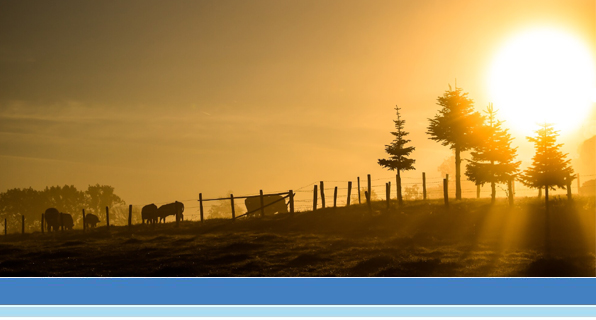 golden sunrise over a farm